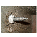 TASSELLO con VITE ELEMATIC diametro mm 8