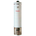 SCALDABAGNO legna elettrico DIANBOILER litri 80