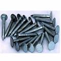CHIODI ZINCATI per coperture